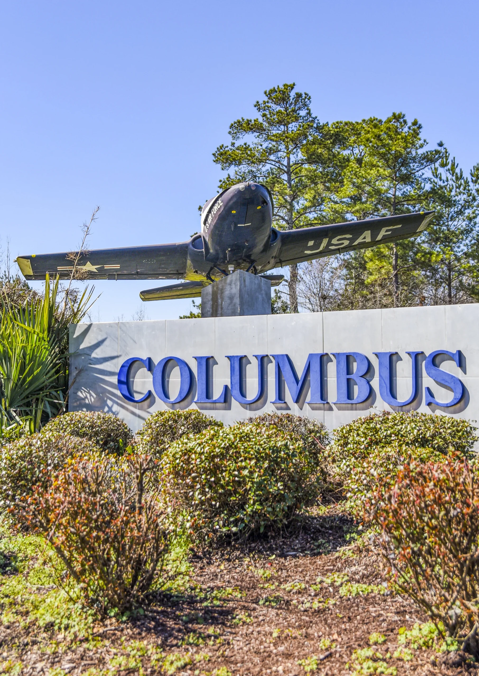 REKINDLING LOWNDES COUNTY WITH NEW LIGHT