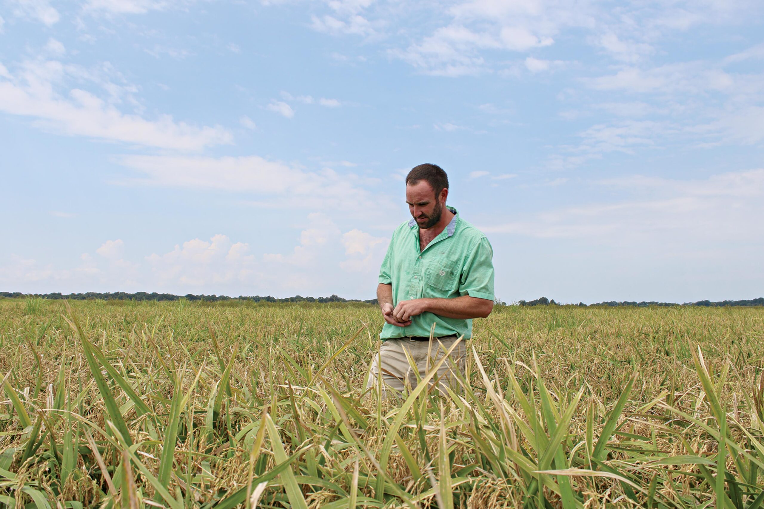 FROM GRAIN TO BOTTLE